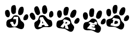 The image shows a series of animal paw prints arranged in a horizontal line. Each paw print contains a letter, and together they spell out the word Jared.