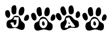 The image shows a row of animal paw prints, each containing a letter. The letters spell out the word Joao within the paw prints.