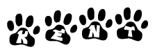 The image shows a row of animal paw prints, each containing a letter. The letters spell out the word Kent within the paw prints.