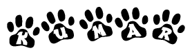 The image shows a row of animal paw prints, each containing a letter. The letters spell out the word Kumar within the paw prints.