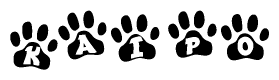 The image shows a series of animal paw prints arranged horizontally. Within each paw print, there's a letter; together they spell Kaipo
