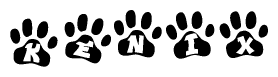 The image shows a series of animal paw prints arranged horizontally. Within each paw print, there's a letter; together they spell Kenix