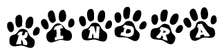 The image shows a series of animal paw prints arranged in a horizontal line. Each paw print contains a letter, and together they spell out the word Kindra.