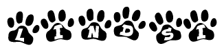 The image shows a series of animal paw prints arranged horizontally. Within each paw print, there's a letter; together they spell Lindsi