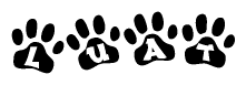 The image shows a series of animal paw prints arranged horizontally. Within each paw print, there's a letter; together they spell Luat