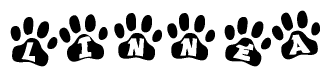 The image shows a series of animal paw prints arranged in a horizontal line. Each paw print contains a letter, and together they spell out the word Linnea.