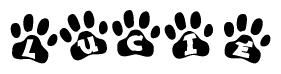 The image shows a row of animal paw prints, each containing a letter. The letters spell out the word Lucie within the paw prints.