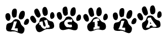 The image shows a series of animal paw prints arranged in a horizontal line. Each paw print contains a letter, and together they spell out the word Lucila.