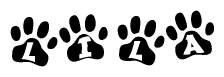 The image shows a series of animal paw prints arranged in a horizontal line. Each paw print contains a letter, and together they spell out the word Lila.