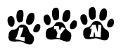 The image shows a series of animal paw prints arranged horizontally. Within each paw print, there's a letter; together they spell Lyn