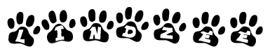 The image shows a series of animal paw prints arranged in a horizontal line. Each paw print contains a letter, and together they spell out the word Lindzee.