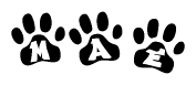 The image shows a row of animal paw prints, each containing a letter. The letters spell out the word Mae within the paw prints.