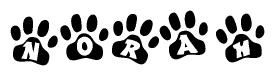 The image shows a row of animal paw prints, each containing a letter. The letters spell out the word Norah within the paw prints.