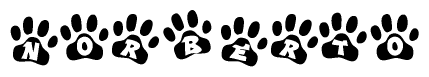 The image shows a series of animal paw prints arranged in a horizontal line. Each paw print contains a letter, and together they spell out the word Norberto.