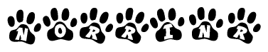 The image shows a series of animal paw prints arranged in a horizontal line. Each paw print contains a letter, and together they spell out the word Norrinr.