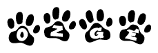 The image shows a series of animal paw prints arranged in a horizontal line. Each paw print contains a letter, and together they spell out the word Ozge.