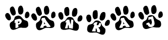The image shows a row of animal paw prints, each containing a letter. The letters spell out the word Pankaj within the paw prints.