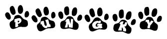 The image shows a series of animal paw prints arranged in a horizontal line. Each paw print contains a letter, and together they spell out the word Pungky.