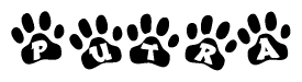 The image shows a series of animal paw prints arranged horizontally. Within each paw print, there's a letter; together they spell Putra