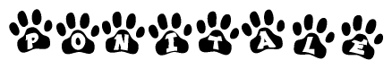 The image shows a row of animal paw prints, each containing a letter. The letters spell out the word Ponitale within the paw prints.