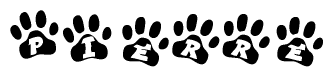 The image shows a series of animal paw prints arranged in a horizontal line. Each paw print contains a letter, and together they spell out the word Pierre.