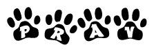 The image shows a series of animal paw prints arranged in a horizontal line. Each paw print contains a letter, and together they spell out the word Prav.
