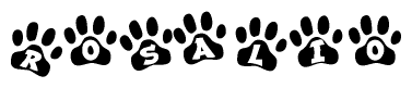 The image shows a series of animal paw prints arranged horizontally. Within each paw print, there's a letter; together they spell Rosalio