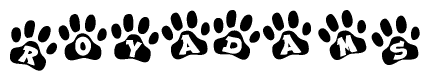 The image shows a series of animal paw prints arranged in a horizontal line. Each paw print contains a letter, and together they spell out the word Royadams.
