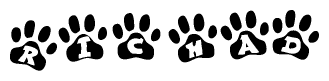 The image shows a series of animal paw prints arranged in a horizontal line. Each paw print contains a letter, and together they spell out the word Richad.