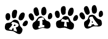 The image shows a series of animal paw prints arranged in a horizontal line. Each paw print contains a letter, and together they spell out the word Rita.
