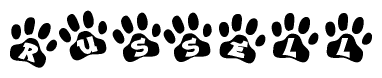 The image shows a series of animal paw prints arranged in a horizontal line. Each paw print contains a letter, and together they spell out the word Russell.