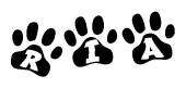The image shows a series of animal paw prints arranged horizontally. Within each paw print, there's a letter; together they spell Ria