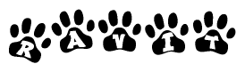 The image shows a series of animal paw prints arranged horizontally. Within each paw print, there's a letter; together they spell Ravit