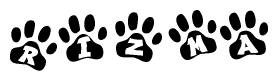 The image shows a series of animal paw prints arranged horizontally. Within each paw print, there's a letter; together they spell Rizma