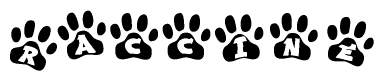 The image shows a row of animal paw prints, each containing a letter. The letters spell out the word Raccine within the paw prints.