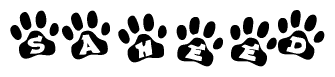 The image shows a series of animal paw prints arranged in a horizontal line. Each paw print contains a letter, and together they spell out the word Saheed.