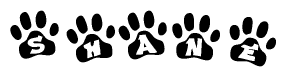 The image shows a series of animal paw prints arranged horizontally. Within each paw print, there's a letter; together they spell Shane