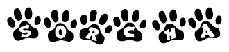 The image shows a series of animal paw prints arranged horizontally. Within each paw print, there's a letter; together they spell Sorcha