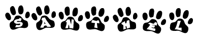 The image shows a row of animal paw prints, each containing a letter. The letters spell out the word Santhel within the paw prints.