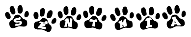 The image shows a series of animal paw prints arranged in a horizontal line. Each paw print contains a letter, and together they spell out the word Senthia.