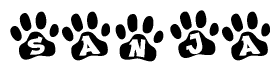The image shows a row of animal paw prints, each containing a letter. The letters spell out the word Sanja within the paw prints.