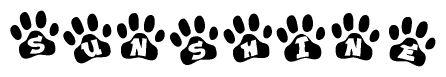 The image shows a row of animal paw prints, each containing a letter. The letters spell out the word Sunshine within the paw prints.