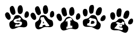 The image shows a series of animal paw prints arranged in a horizontal line. Each paw print contains a letter, and together they spell out the word Saide.