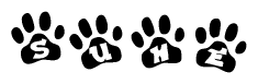The image shows a series of animal paw prints arranged in a horizontal line. Each paw print contains a letter, and together they spell out the word Suhe.