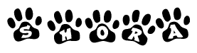 The image shows a row of animal paw prints, each containing a letter. The letters spell out the word Shora within the paw prints.