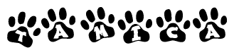 The image shows a series of animal paw prints arranged in a horizontal line. Each paw print contains a letter, and together they spell out the word Tamica.