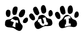 The image shows a row of animal paw prints, each containing a letter. The letters spell out the word Tui within the paw prints.