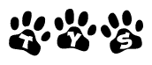 The image shows a series of animal paw prints arranged in a horizontal line. Each paw print contains a letter, and together they spell out the word Tys.