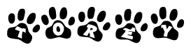 The image shows a series of animal paw prints arranged in a horizontal line. Each paw print contains a letter, and together they spell out the word Torey.