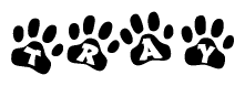 The image shows a series of animal paw prints arranged horizontally. Within each paw print, there's a letter; together they spell Tray